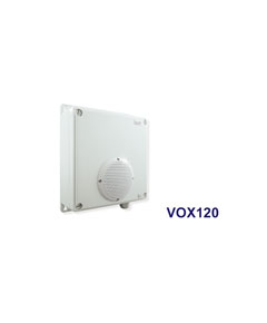 EXTENSION SPEAKER FOR VOX300/400 (Voice off)