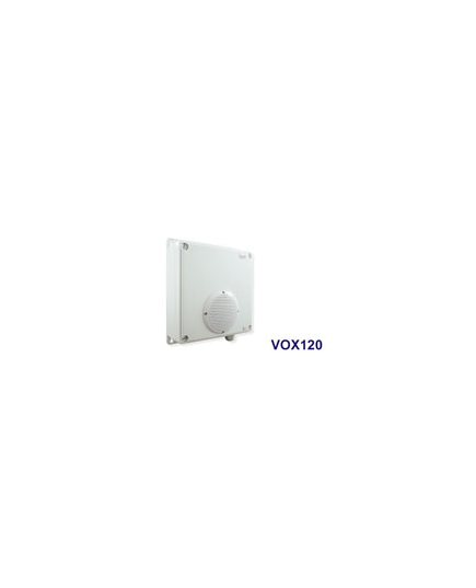 EXTENSION SPEAKER FOR VOX300/400 (Voice off)