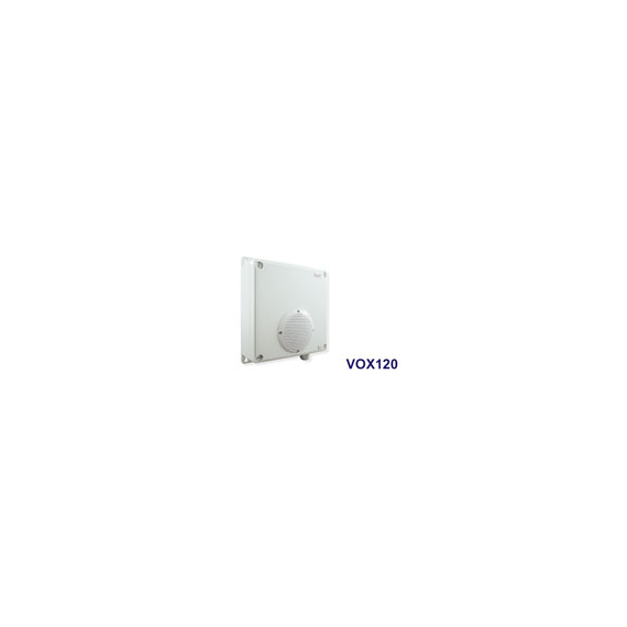 EXTENSION SPEAKER FOR VOX300/400 (Voice off)